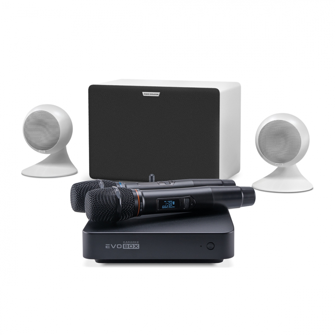 караоке-комплект EVOBOX Classic + EvoSound Sphere 2.1 в Одинцово