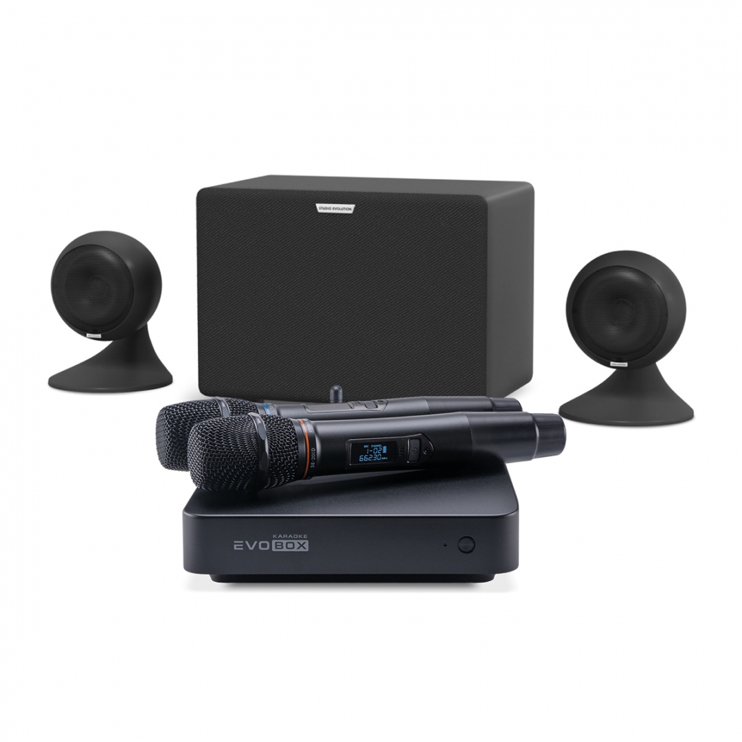 караоке-комплект EVOBOX Plus + EvoSound Sphere 2.1 в Одинцово
