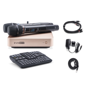 EVOBOX Classic караоке-система для дома в Одинцово