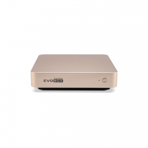 EVOBOX с микрофонами в Одинцово