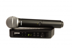 SHURE BLX24E/PG58 M17 вокальная радиосистема в Одинцово